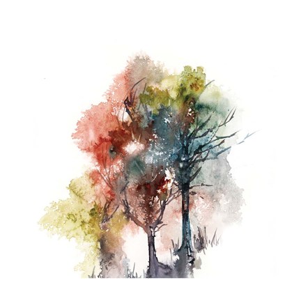 Framed Tree Color Print