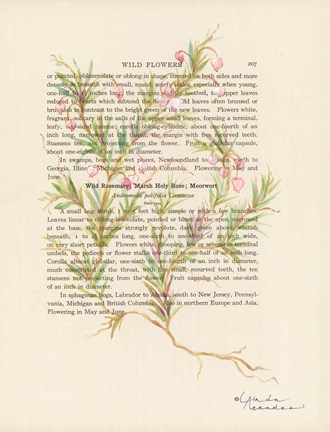 Framed Wild Rosemary Print