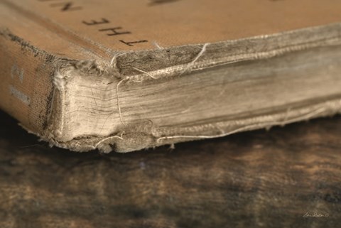 Framed Well Read Print