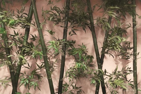Framed Bamboo on Blush Print