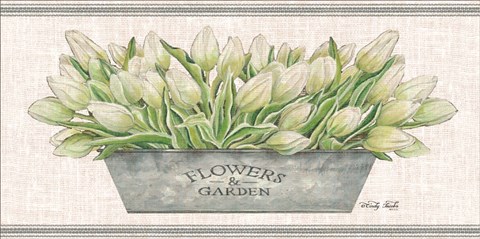 Framed Flowers &amp; Garden White Tulips Print