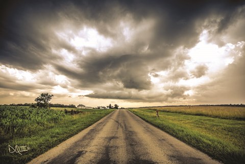 Framed Embrace the Storm III Print