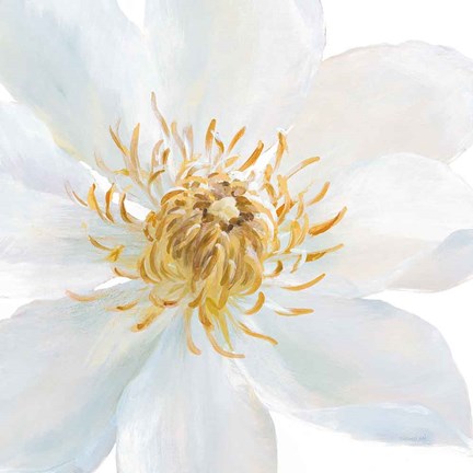 Framed Contemporary Clematis Gray Print