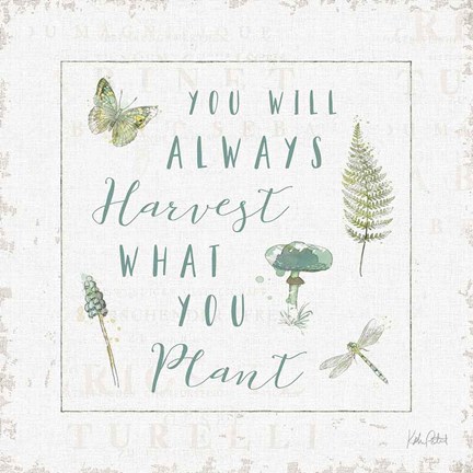 Framed In the Forest V Harvest Print