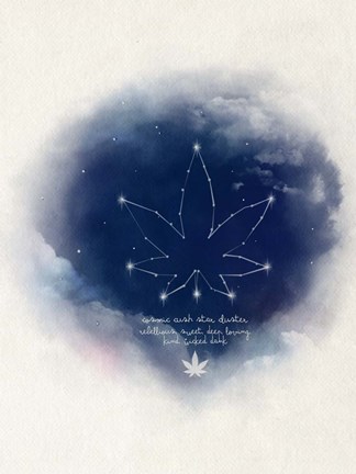 Framed Cosmic Cush Print