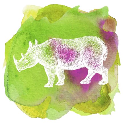 Framed Color Spot Safari Animals Rhino Print