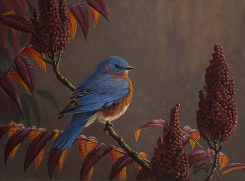 Framed Autumn Bluebird Print