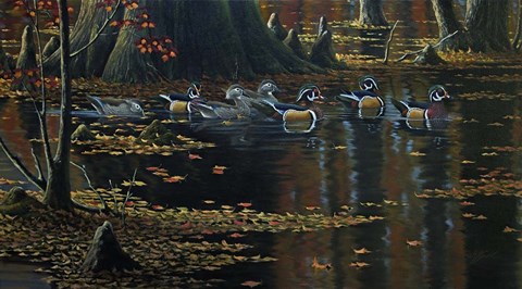 Framed Cypress Jewels - Wood Ducks Print