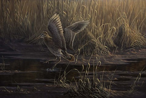 Framed Dropping In Print