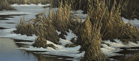 Framed Snipe Flight Print