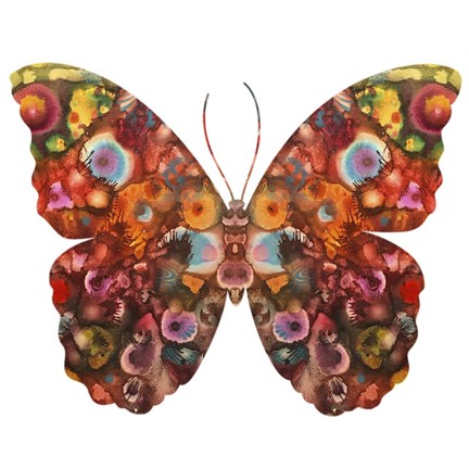 Framed Kamasi Butterfly Print