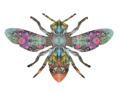 Framed Transverse Bee Print