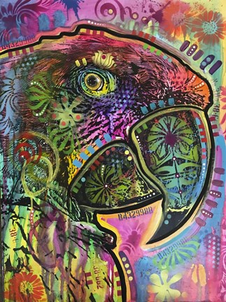 Framed Close Up Parrot Print