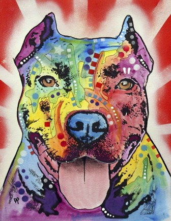 Framed Sun Ray Print