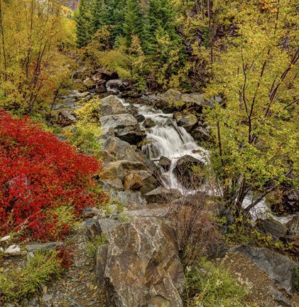 Framed Fall River Print