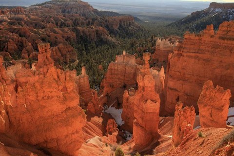 Framed Illumination Print