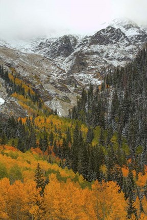 Framed Orange Flames Print