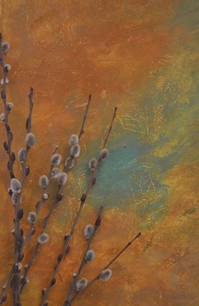 Framed Pussywillows Abstract Print