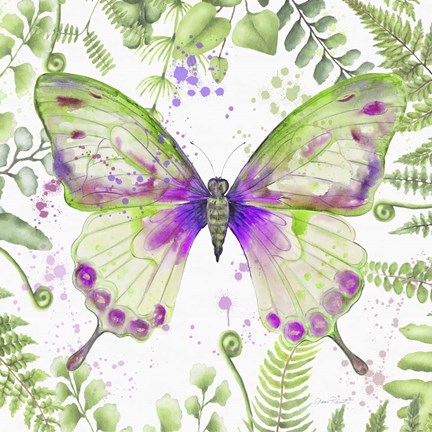 Framed Botanical Butterfly Beauty 3 Print