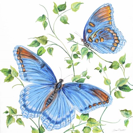 Framed Summertime Butterflies C Print