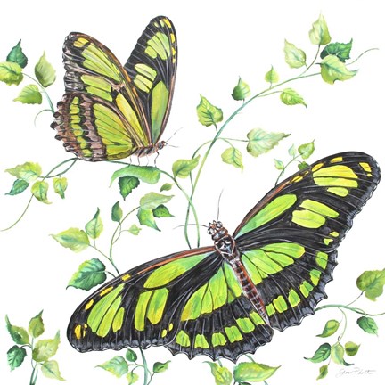 Framed Summertime Butterflies D Print
