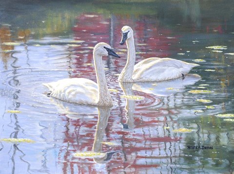 Framed Close To You Print