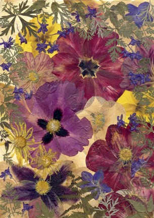 Framed Dried Peony And Tulips Print