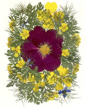 Framed Flower Fantasy 2 Print