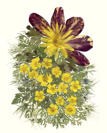 Framed Flower Fantasy 3 Print