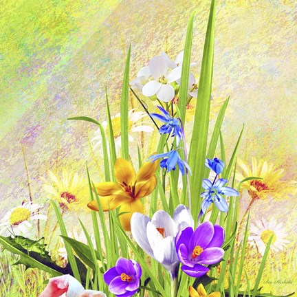 Framed Garden Of Flowers M4 Print