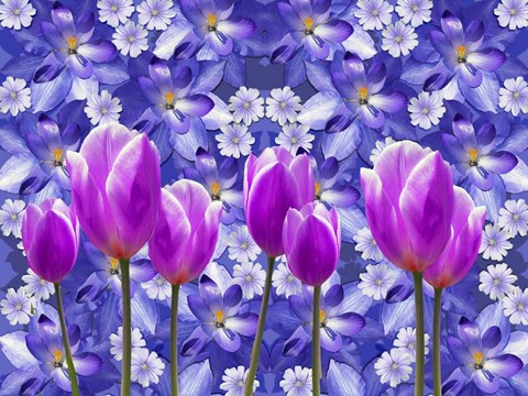 Framed Purple Tulips Print