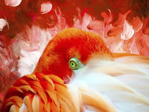 Framed Red Flamigo Print