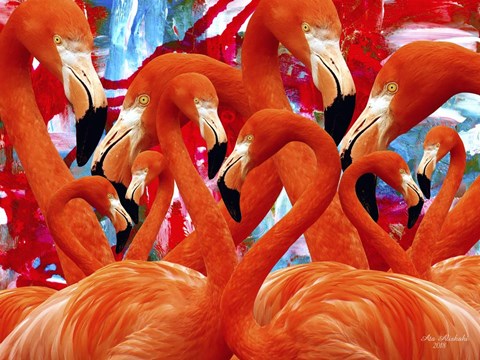 Framed Red Flamingo Family Print