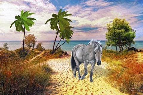 Framed Wild Horse Of The Sea Print