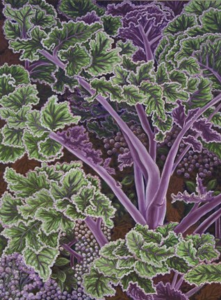 Framed Cabbage Stalks Print