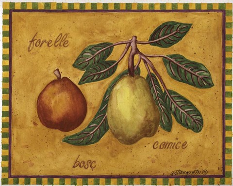 Framed Pears Forelle Bosc Comice Print