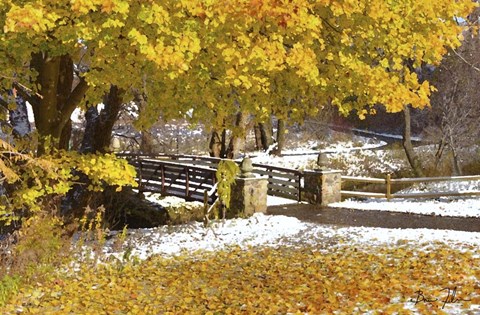 Framed Autumn Snow Print