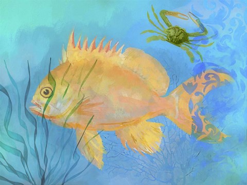 Framed Orange Fish Sea Life Print