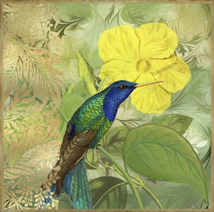 Framed Hummingbird Green Blue Print