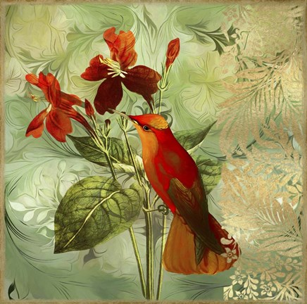 Framed Hummingbird Red Print