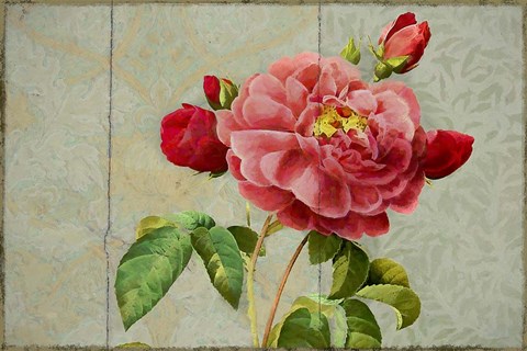 Framed Pink Rose Painted on Wooden Panel Print