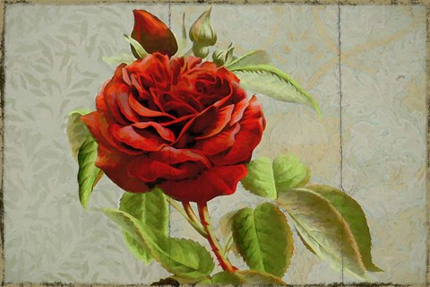 Framed Red Rose Painted on Wooden Panel Print