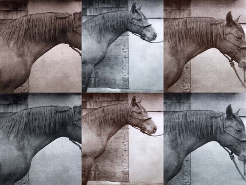 Framed Andelusian Print