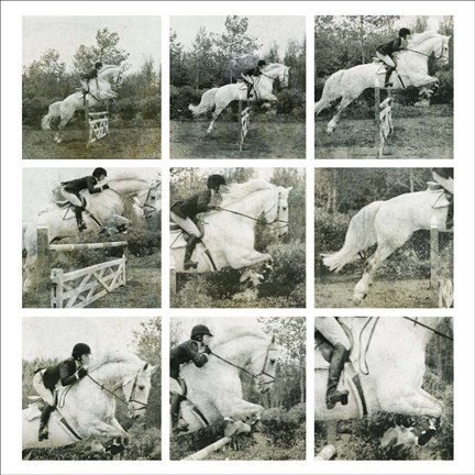 Framed Jumping Horse Print
