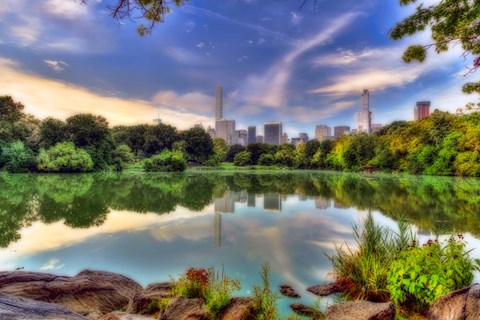 Framed Central Park 2 Print