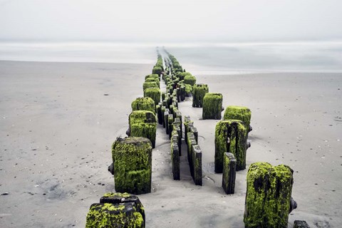 Framed FMK-307 Fog On Beach Print