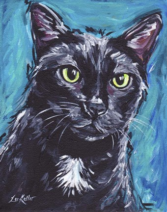 Framed Cat Black Cat Expressive Print
