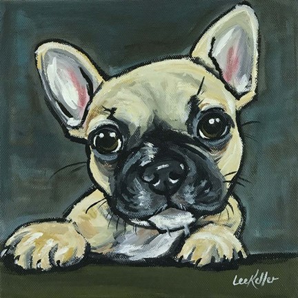 Framed Frenchie Pup 1 Print