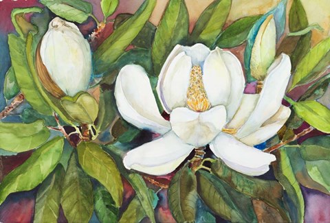 Framed Magnolias in their Prime Print