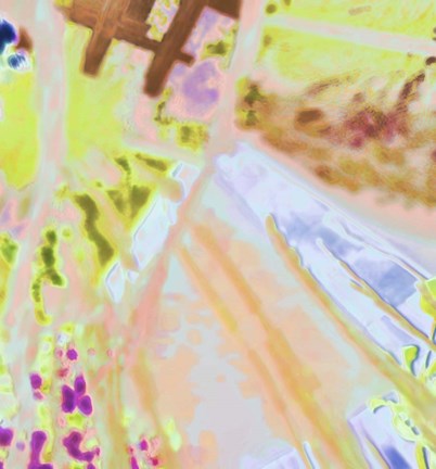 Framed Marble Pigs Print